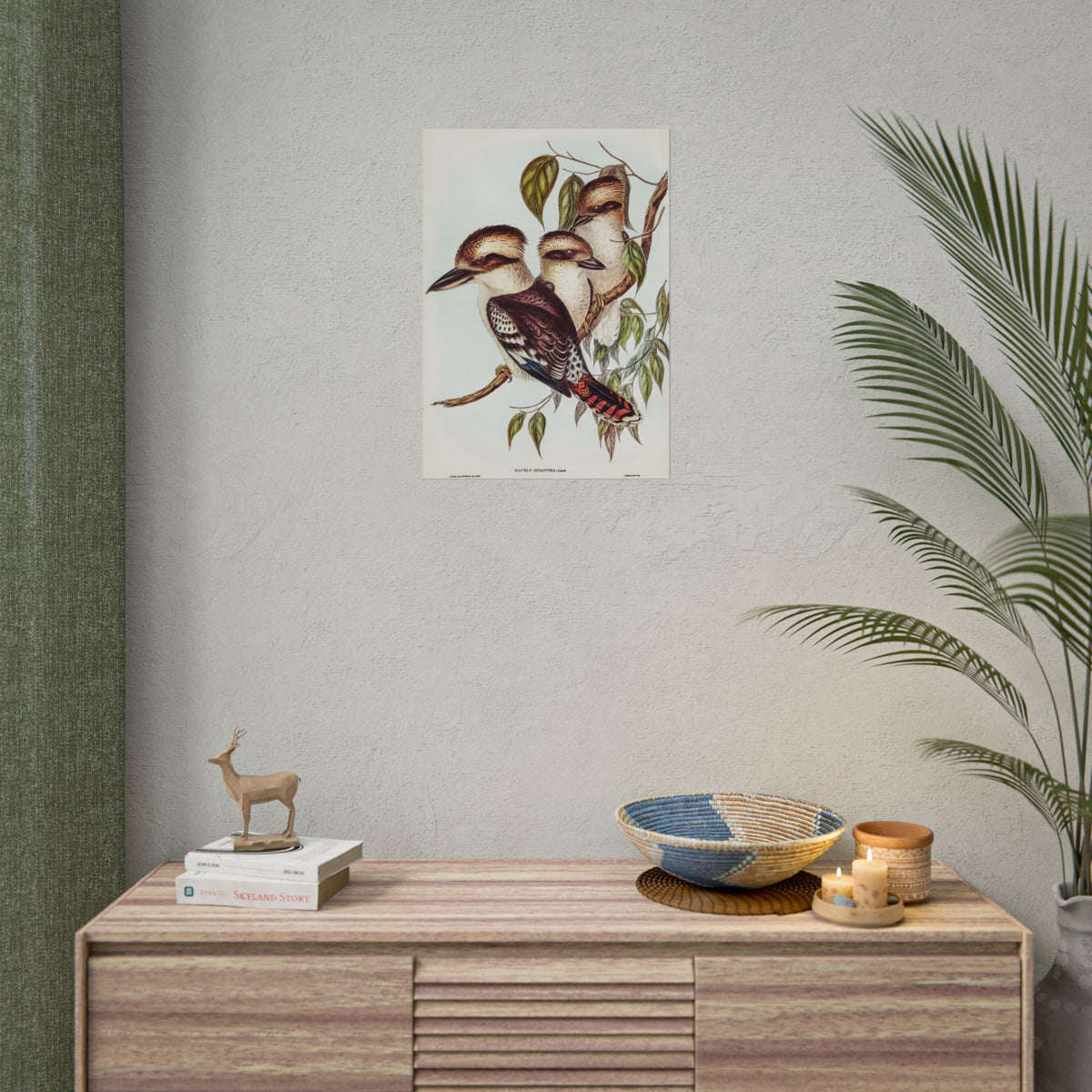 Kookaburra Bird Illustration Rolled Poster — Vintage Australian Wildlife Art Print