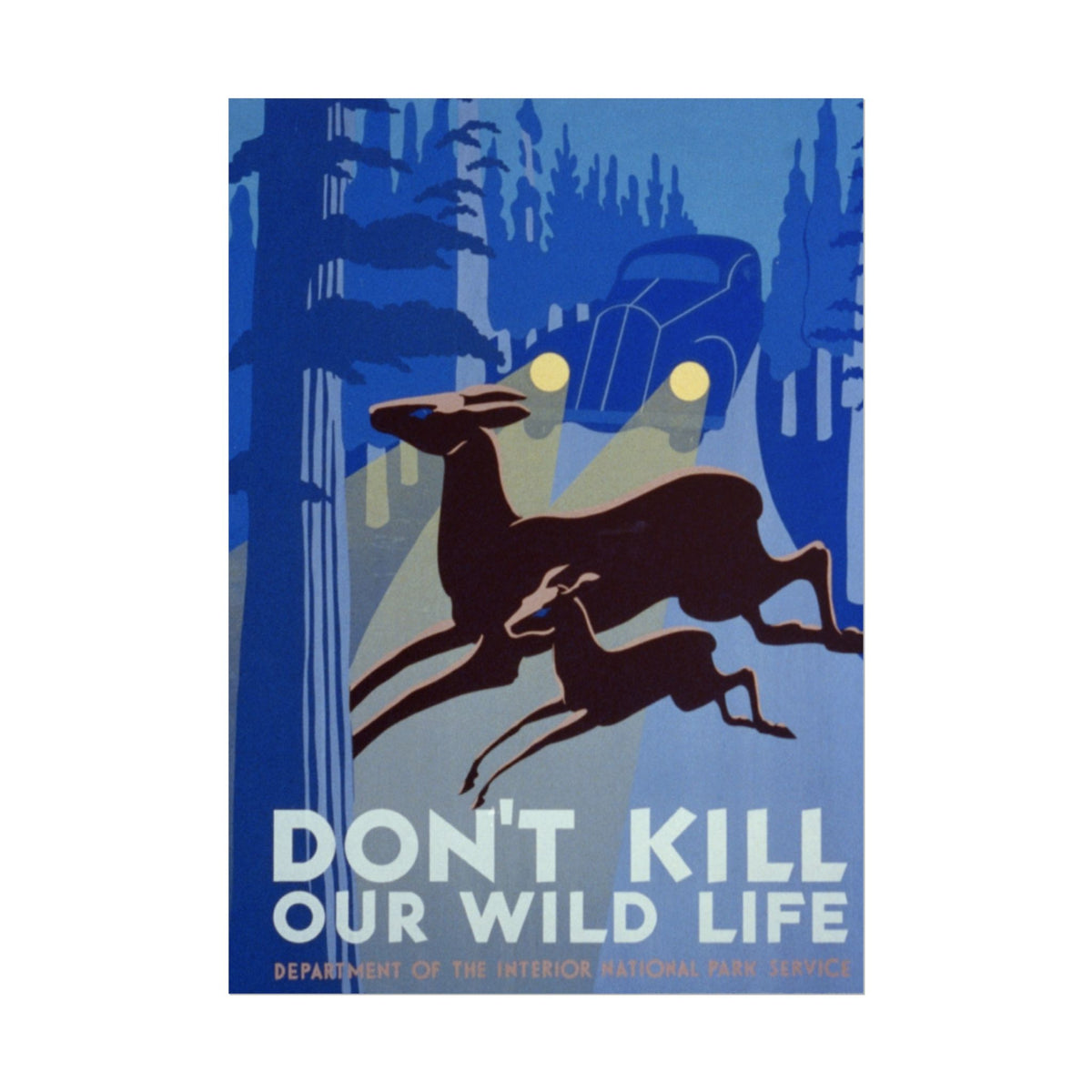 Vintage Wildlife Safety Poster — "Don't Kill Our Wild Life" Rolled Art Print