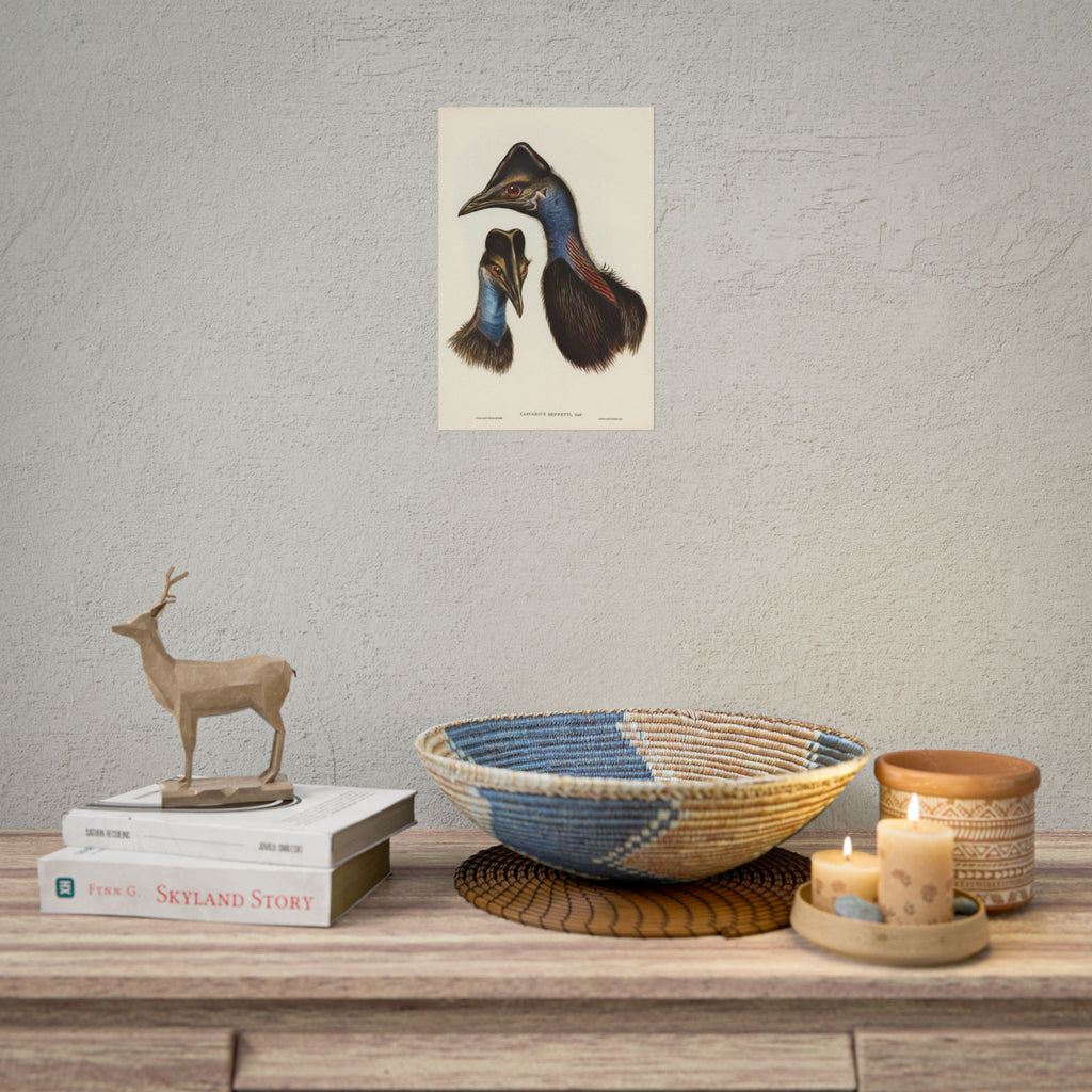Cassowary Vintage Natural History Poster - Rolled Wall Art