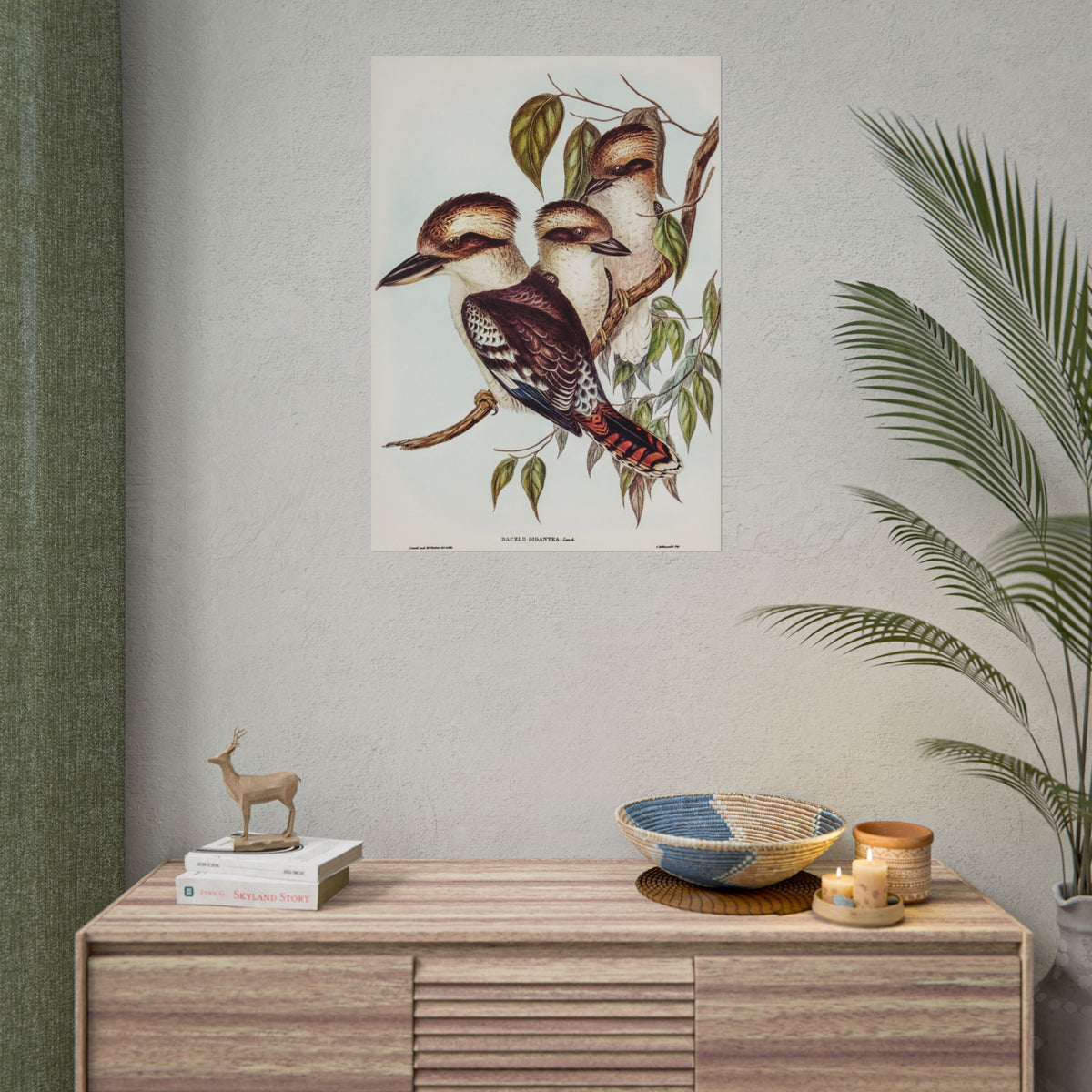 Kookaburra Bird Illustration Rolled Poster — Vintage Australian Wildlife Art Print