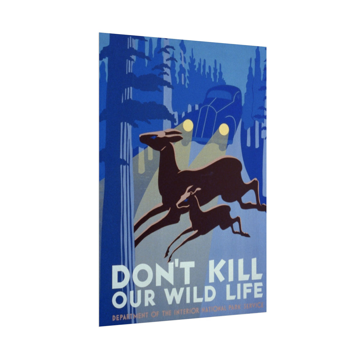 Vintage Wildlife Safety Poster — "Don't Kill Our Wild Life" Rolled Art Print