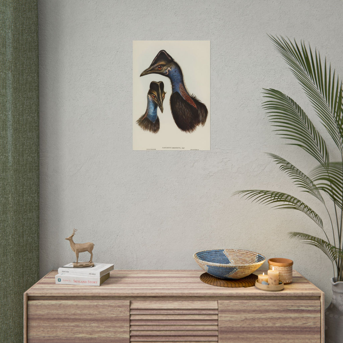 Cassowary Vintage Natural History Poster - Rolled Wall Art