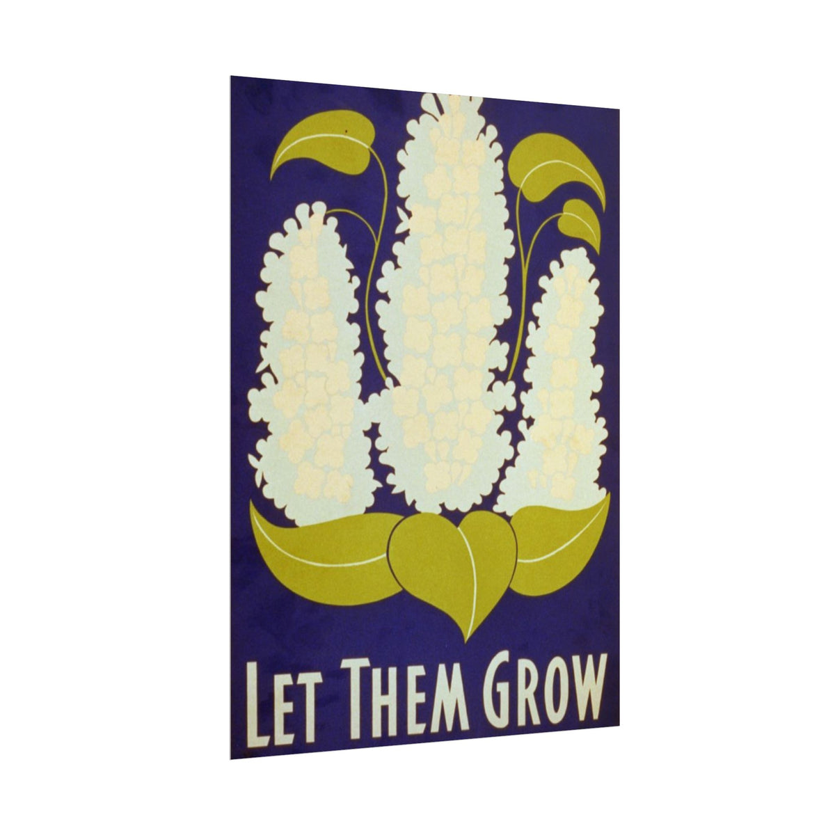 Let Them Grow Botanical Poster — Vintage Floral Rolled Poster