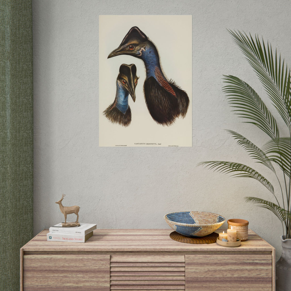 Cassowary Vintage Natural History Poster - Rolled Wall Art