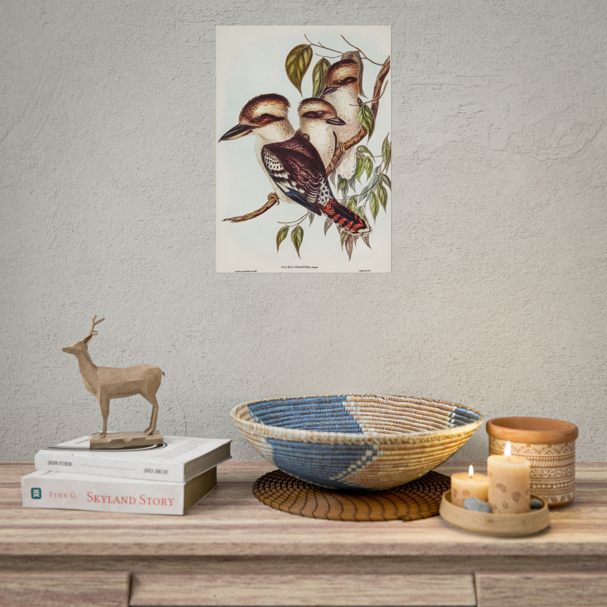 Kookaburra Bird Illustration Rolled Poster — Vintage Australian Wildlife Art Print