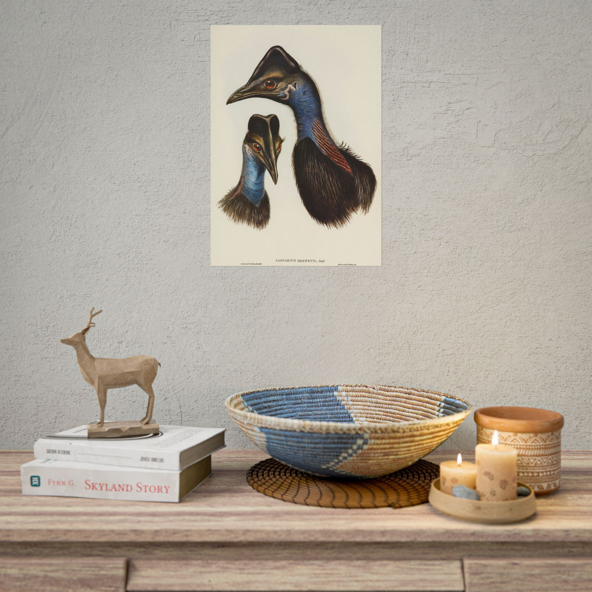 Cassowary Vintage Natural History Poster - Rolled Wall Art