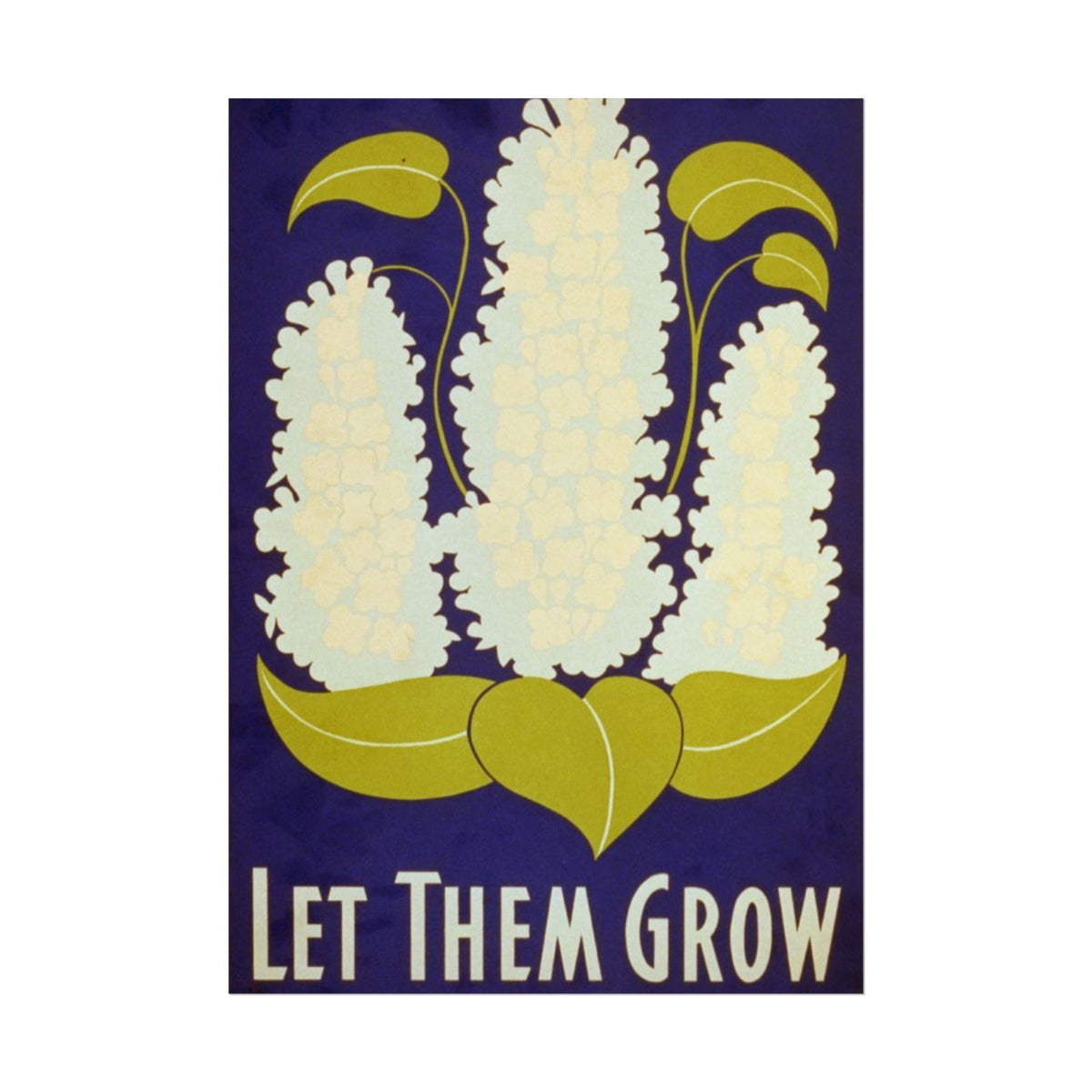 Let Them Grow Botanical Poster — Vintage Floral Rolled Poster